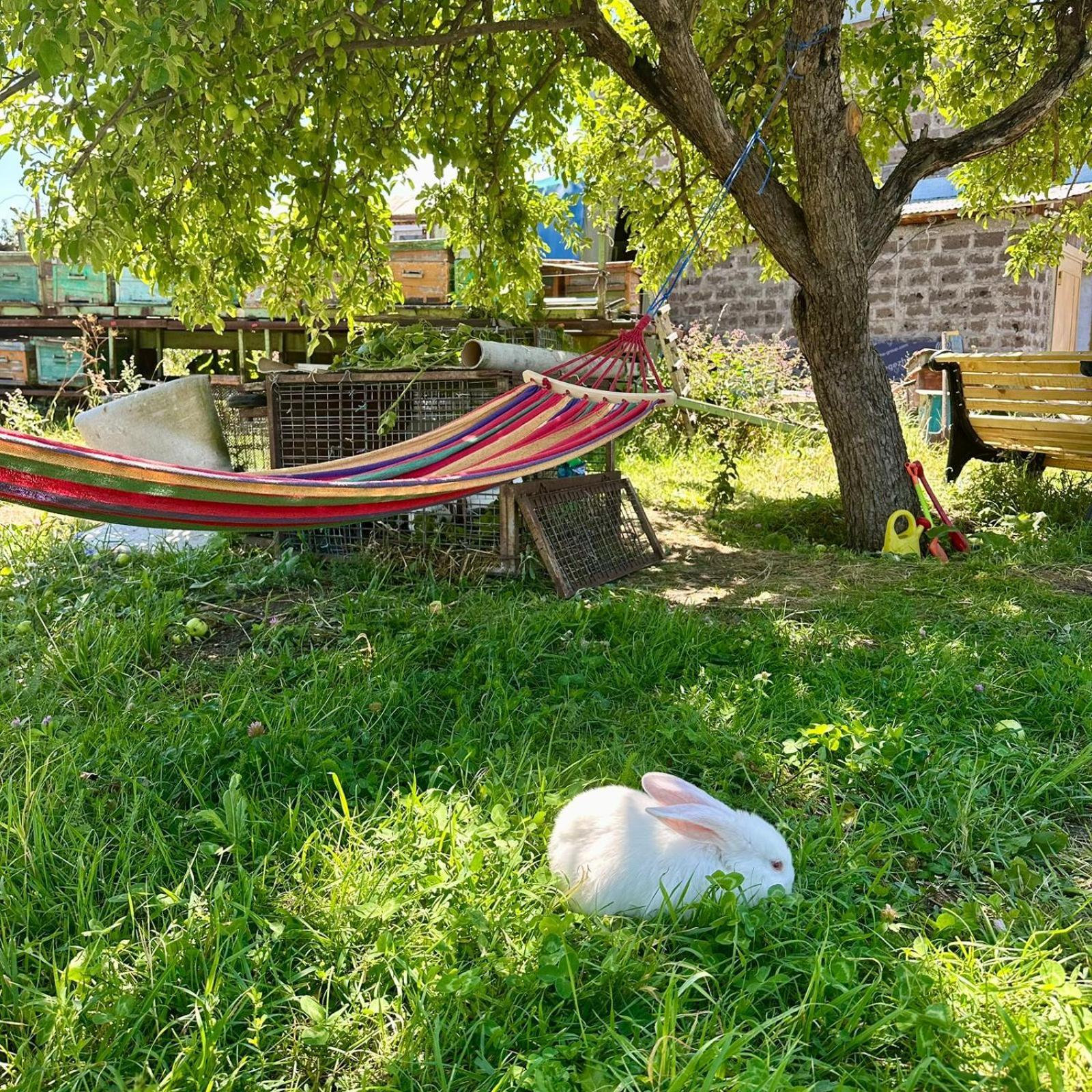 Apartament Eco House Giumri Zewnętrze zdjęcie